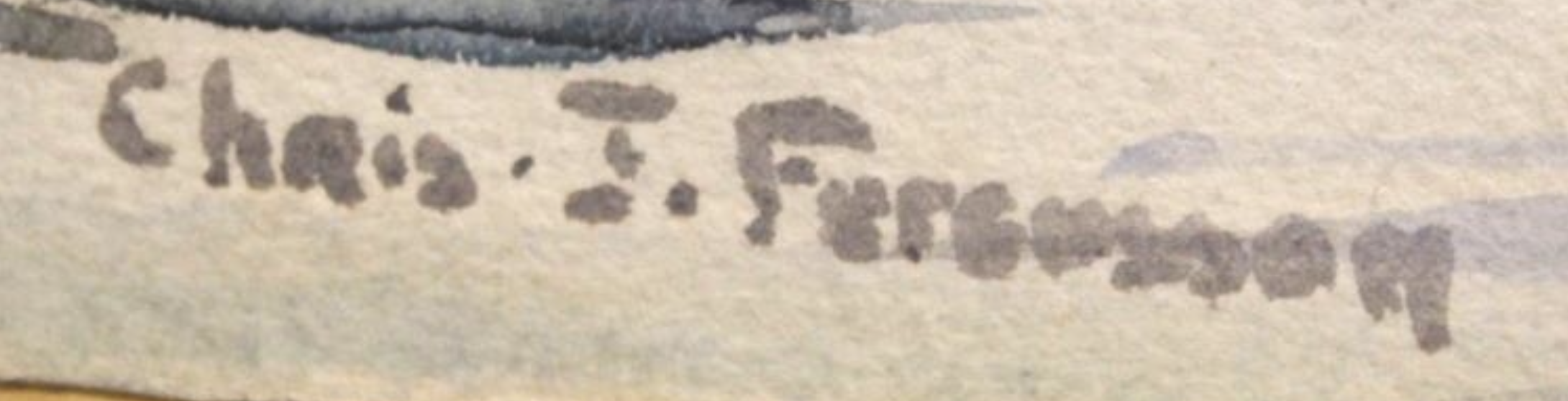 Christian Jane Fergusson signature